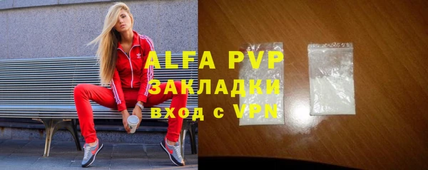 амф Гусев