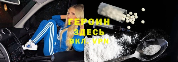 амф Гусев
