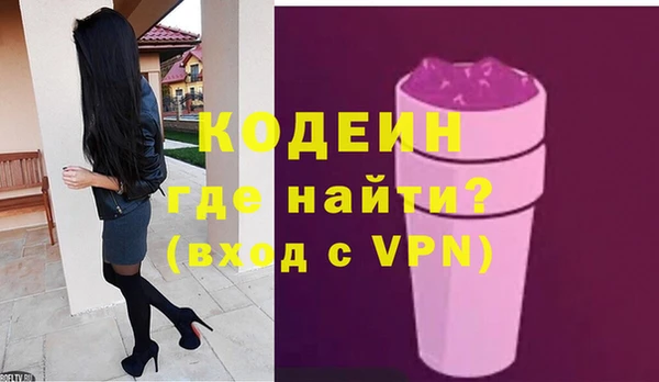 амф Гусев