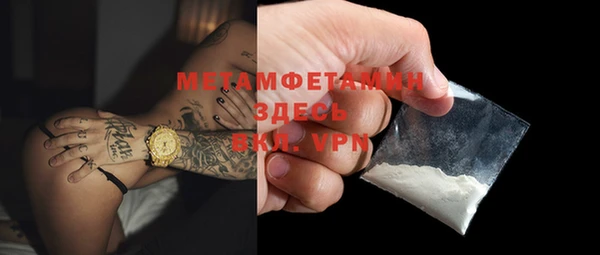 амф Гусев
