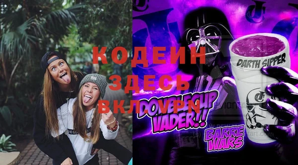 амф Гусев