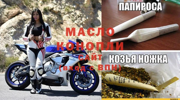 амф Гусев