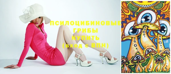 амф Гусев
