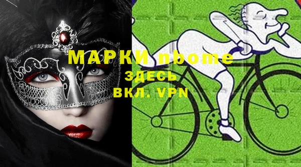 амф Гусев