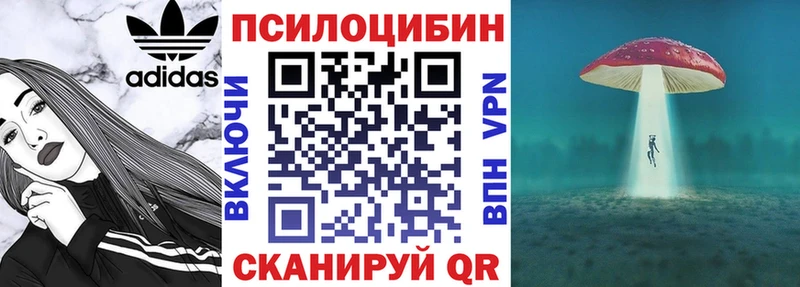 продажа наркотиков Ермолино Псилоцибиновые грибы MAGIC MUSHROOMS